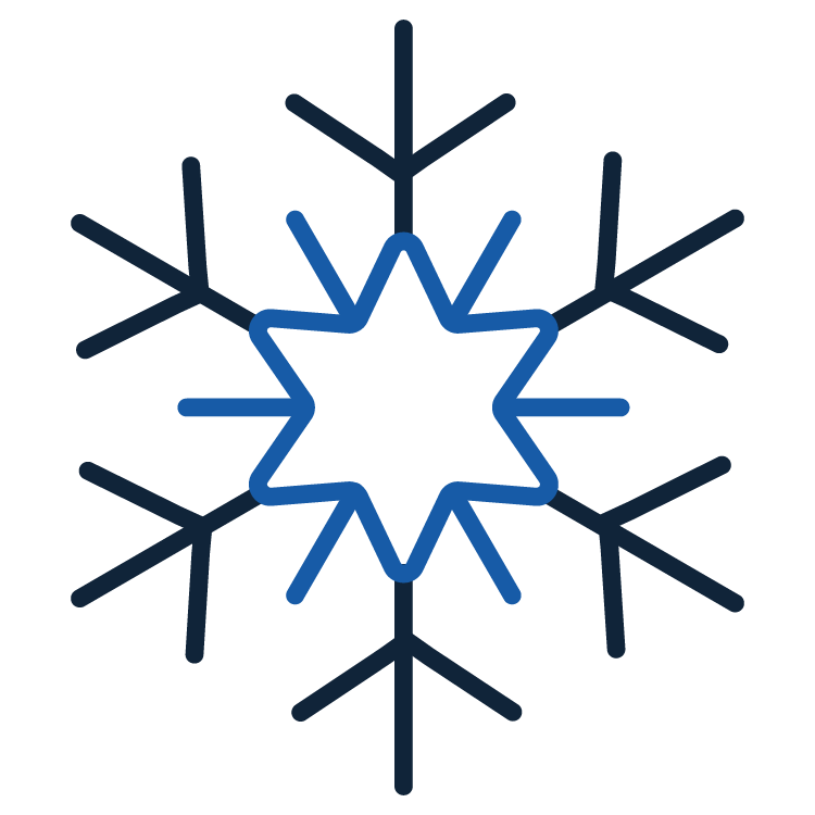 ZETA icon showing a snowflake in dark and light blue