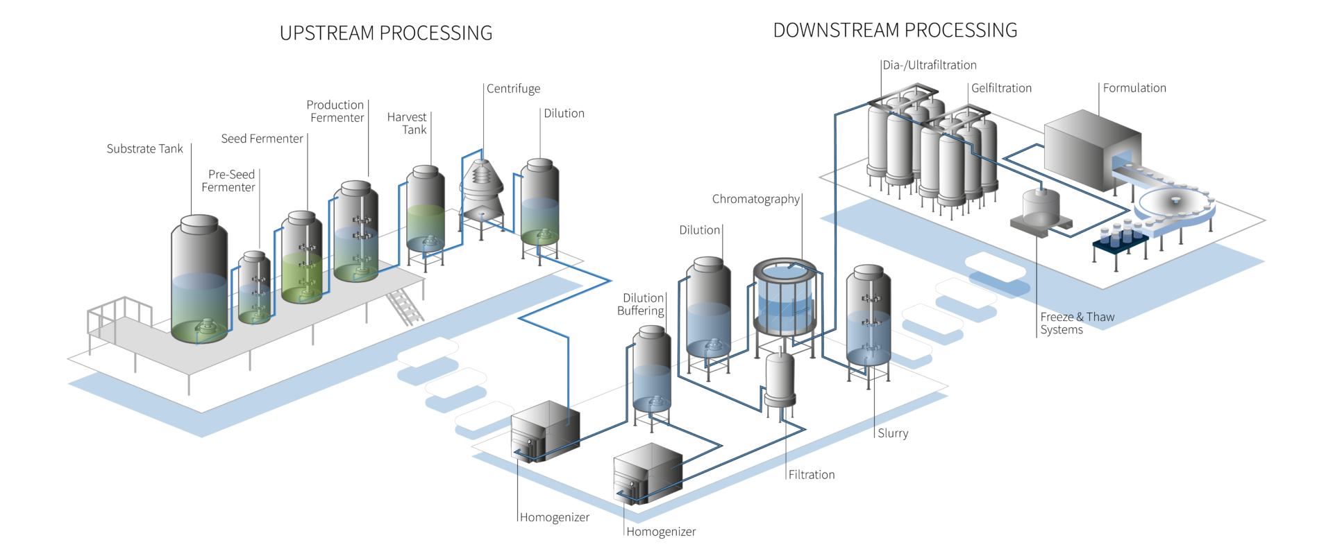 Scheme showing equipment for upstream and downstream processing